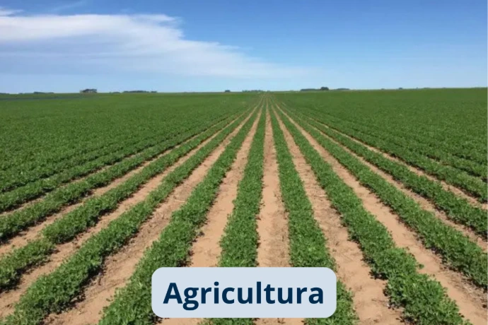 Cultivo agrícola administrado mediante procesos integrados